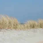 Kleine In Mit Garten