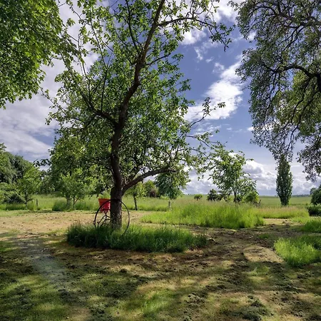 Apartamento Kleine In Mit Garten Steffenshagen