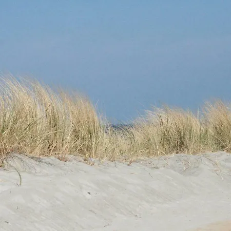 Kleine In Mit Garten